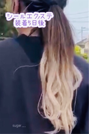 f:id:sugar0222:20260523171216j:image
