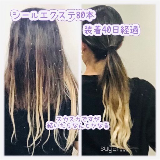 f:id:sugar0222:20260523171310j:image