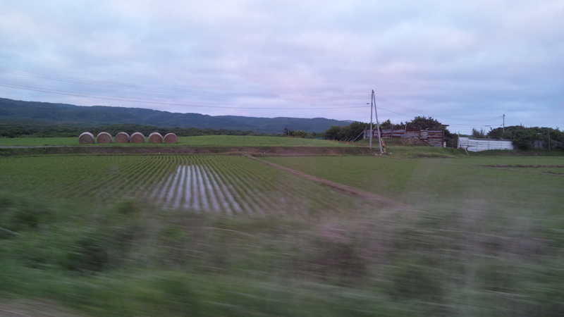 北海道奥尻郡奥尻町字米岡周辺 こころん、どころん？