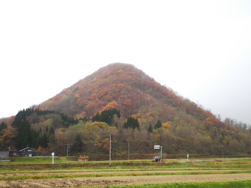 f:id:sugar_gsj:20201109115048j:plain