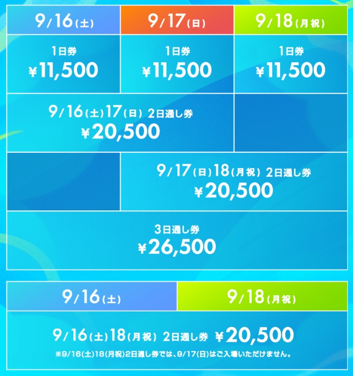 wild bunch fest.2023 9/17 2日目チケット×2