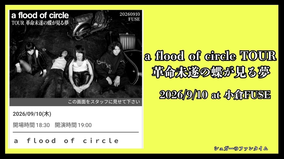 a flood of circle TOUR 革命未遂の蝶が見る夢