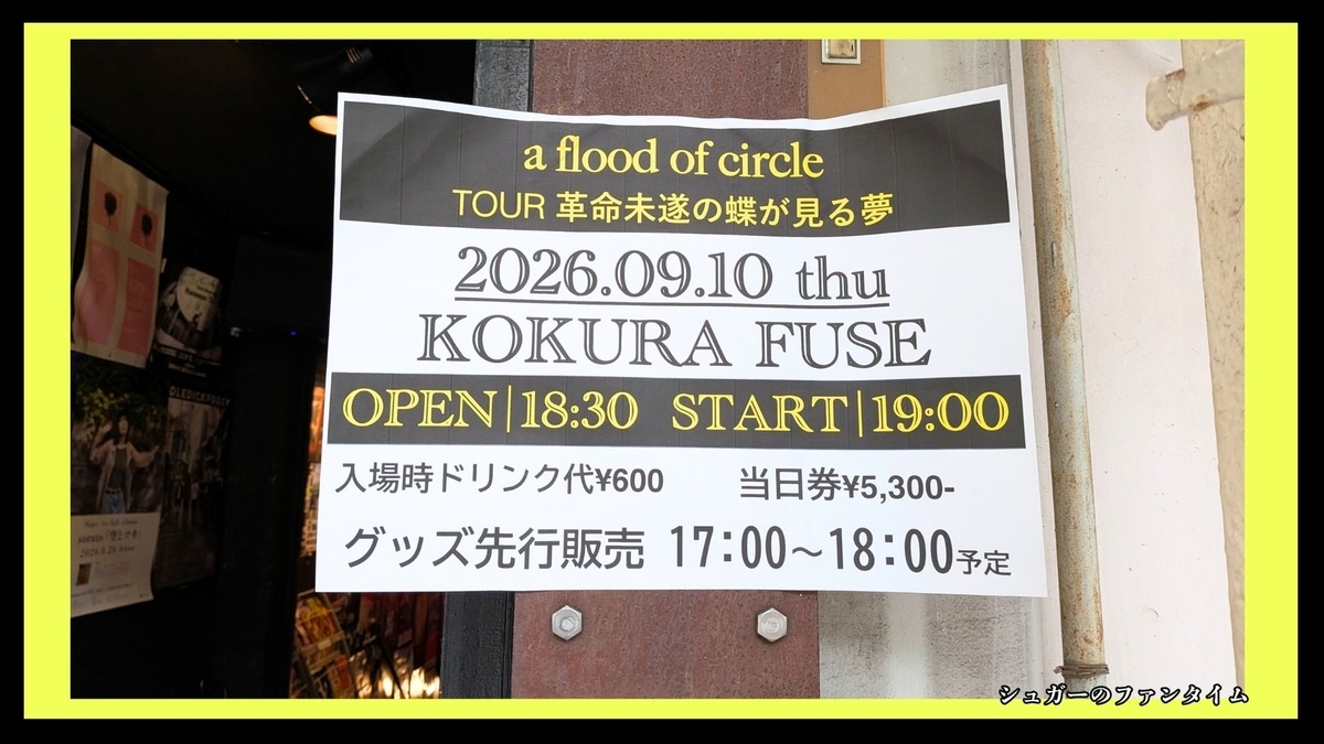 a flood of circle TOUR 革命未遂の蝶が見る夢