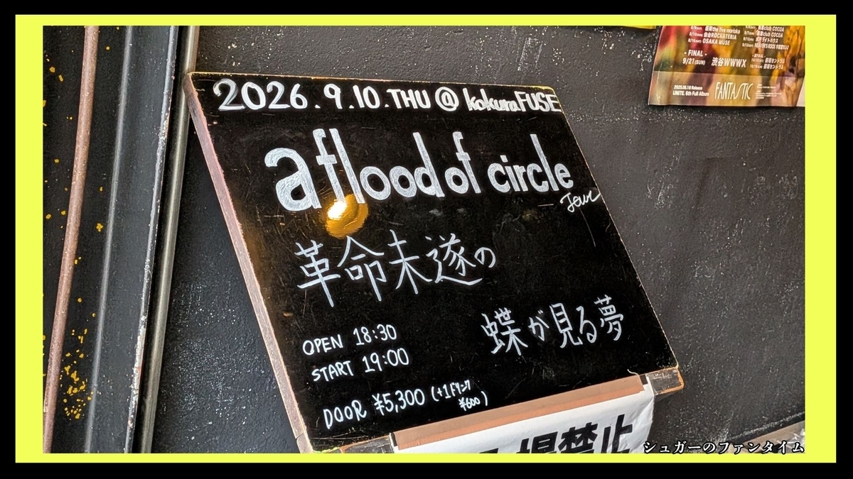 a flood of circle TOUR 革命未遂の蝶が見る夢
