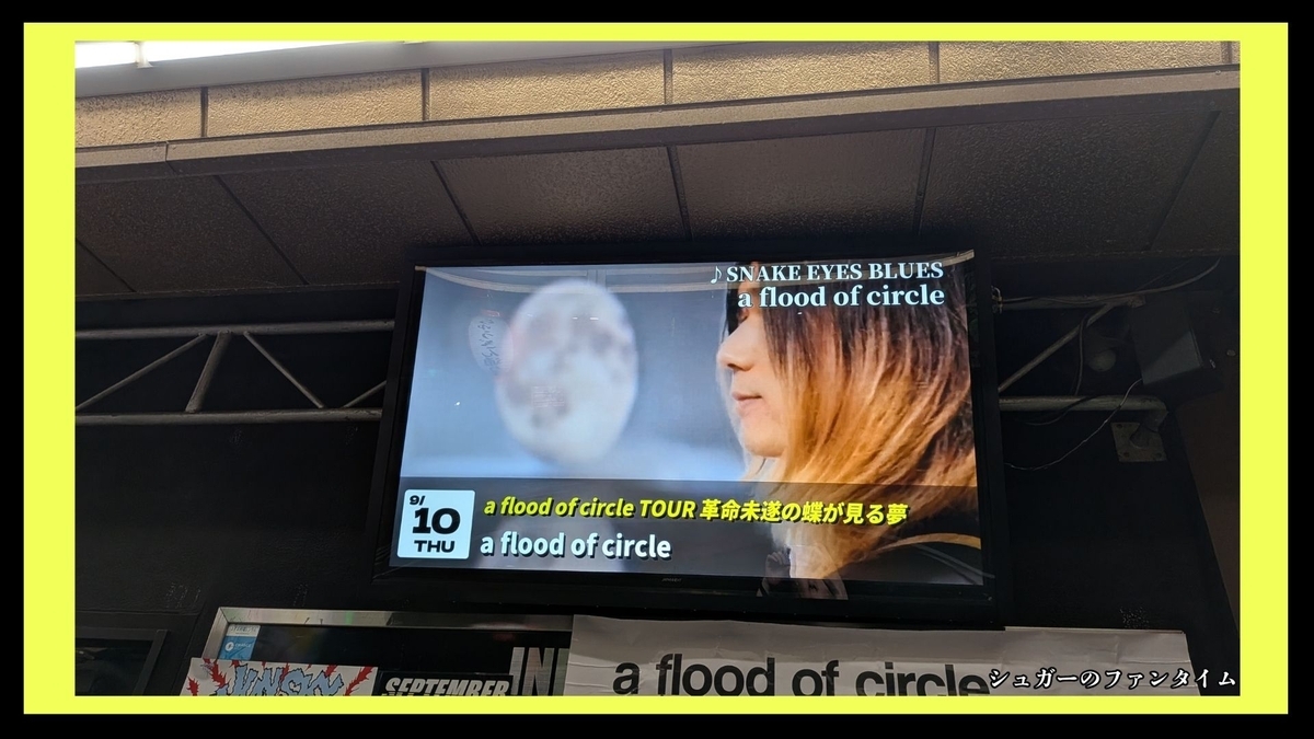 a flood of circle TOUR 革命未遂の蝶が見る夢