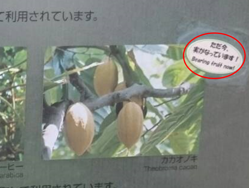 f:id:sugarbloom:20160920202143p:plain f:id:sugarbloom:20160920202143p:plain
