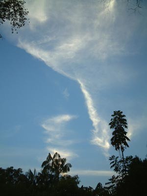 f:id:sugaree2005:20050702140007:image:h150