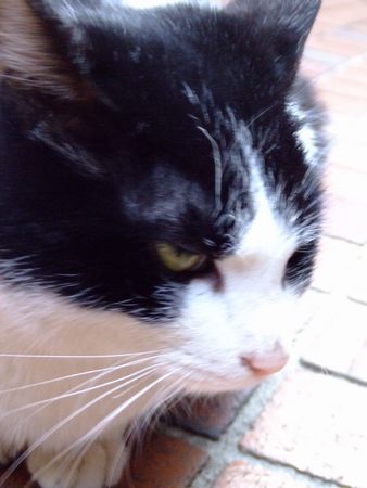 f:id:sugaree2005:20080315155313j:image f:id:sugaree2005:20080315155313j:image