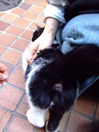 f:id:sugaree2005:20080315155711j:image f:id:sugaree2005:20080315155711j:image