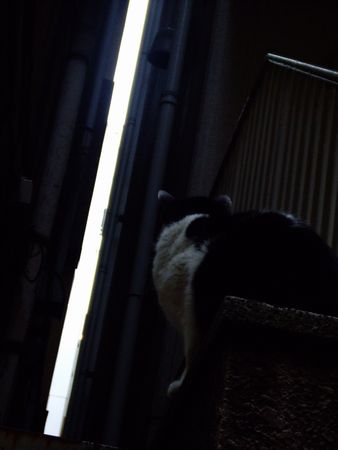 f:id:sugaree2005:20080315160009j:image f:id:sugaree2005:20080315160009j:image