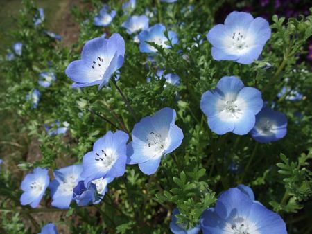 f:id:sugaree2005:20080415141935j:image f:id:sugaree2005:20080415141935j:image