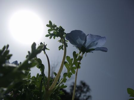 f:id:sugaree2005:20080415150351j:image f:id:sugaree2005:20080415150351j:image