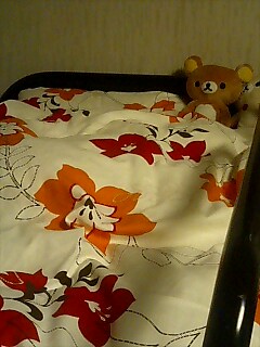 f:id:sugaree2005:20080503230707j:image:w200