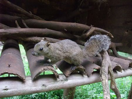 f:id:sugaree2005:20080713152729j:image f:id:sugaree2005:20080713152729j:image