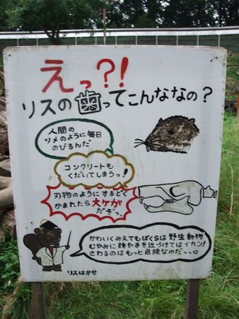f:id:sugaree2005:20080713152837j:image f:id:sugaree2005:20080713152837j:image