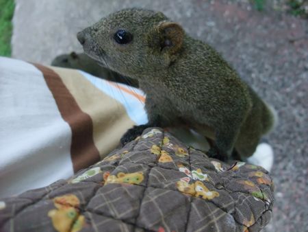 f:id:sugaree2005:20080802145433j:image f:id:sugaree2005:20080802145433j:image