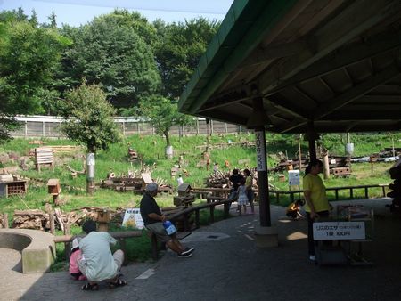 f:id:sugaree2005:20080802151544j:image f:id:sugaree2005:20080802151544j:image