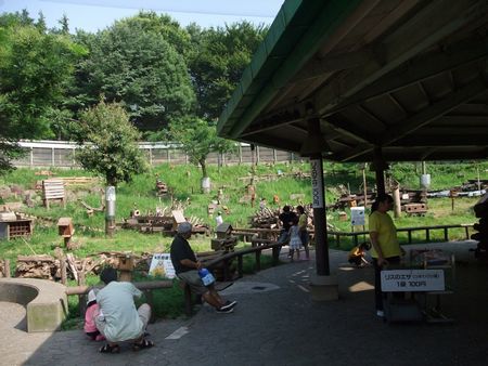 町田リス園