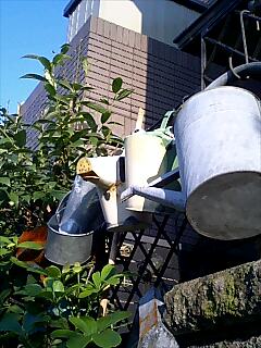 f:id:sugaree2005:20081004160125j:image:w200