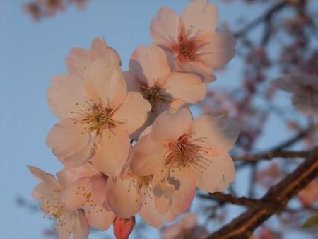 f:id:sugaree2005:20090221172947j:image