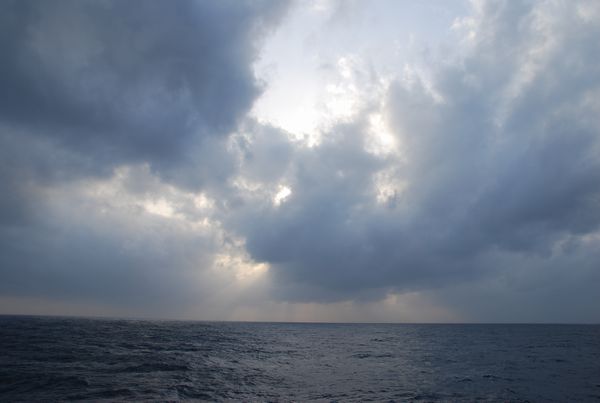 f:id:sugaree2005:20100314165746j:image:w293 f:id:sugaree2005:20100314165746j:image:w293