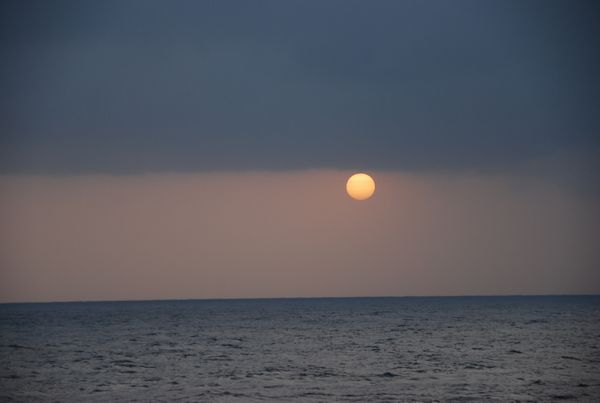 f:id:sugaree2005:20100314173349j:image:w293 f:id:sugaree2005:20100314173349j:image:w293