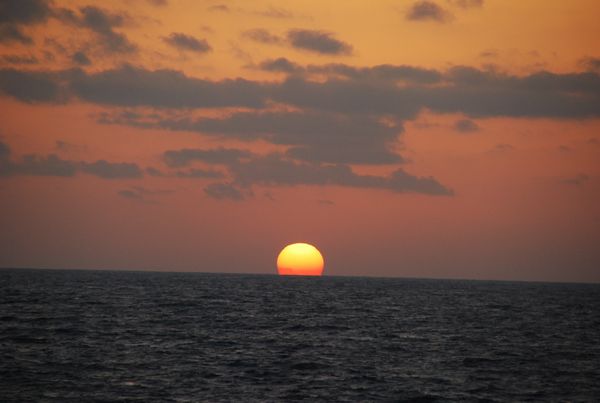 f:id:sugaree2005:20100315054547j:image:w293 f:id:sugaree2005:20100315054547j:image:w293