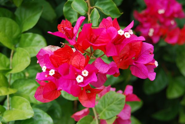 f:id:sugaree2005:20100317142253j:image f:id:sugaree2005:20100317142253j:image