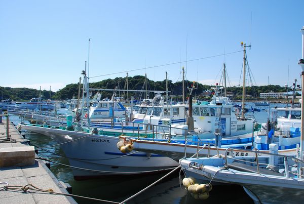 f:id:sugaree2005:20100603141525j:image