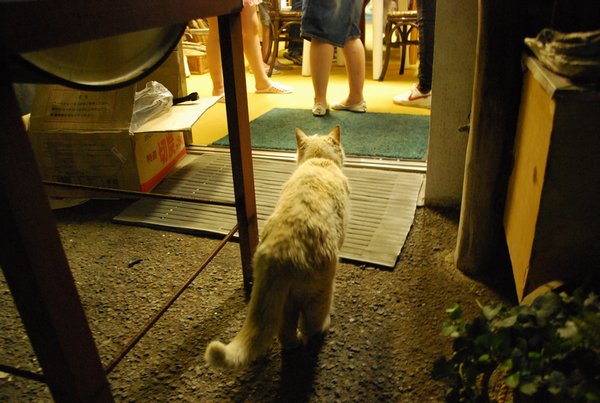 20100626200627