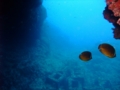20100809110824