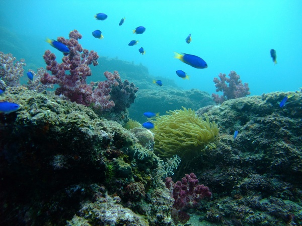 f:id:sugaree2005:20101023132428j:image f:id:sugaree2005:20101023132428j:image