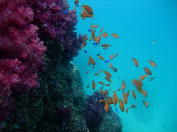 f:id:sugaree2005:20101023141353j:image f:id:sugaree2005:20101023141353j:image