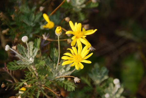 20110402154037