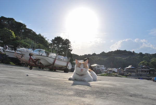 f:id:sugaree2005:20110514162841j:image f:id:sugaree2005:20110514162841j:image