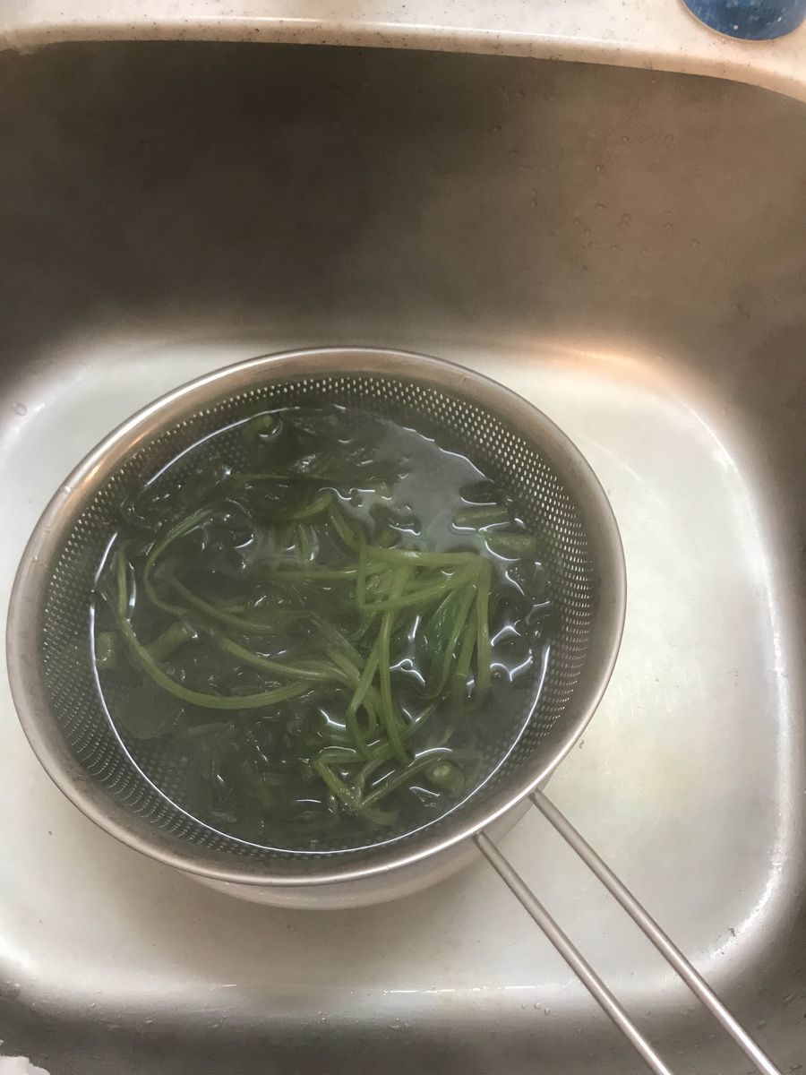 f:id:sugaret:20191215003955j:plain f:id:sugaret:20191215003955j:plain