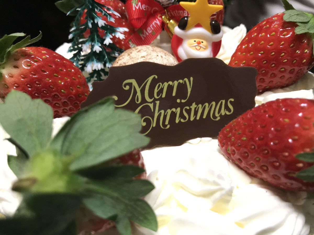 f:id:sugaret:20191215004628j:plain f:id:sugaret:20191215004628j:plain