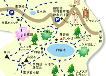 f:id:sugarless_ice:20211020103156p:plain