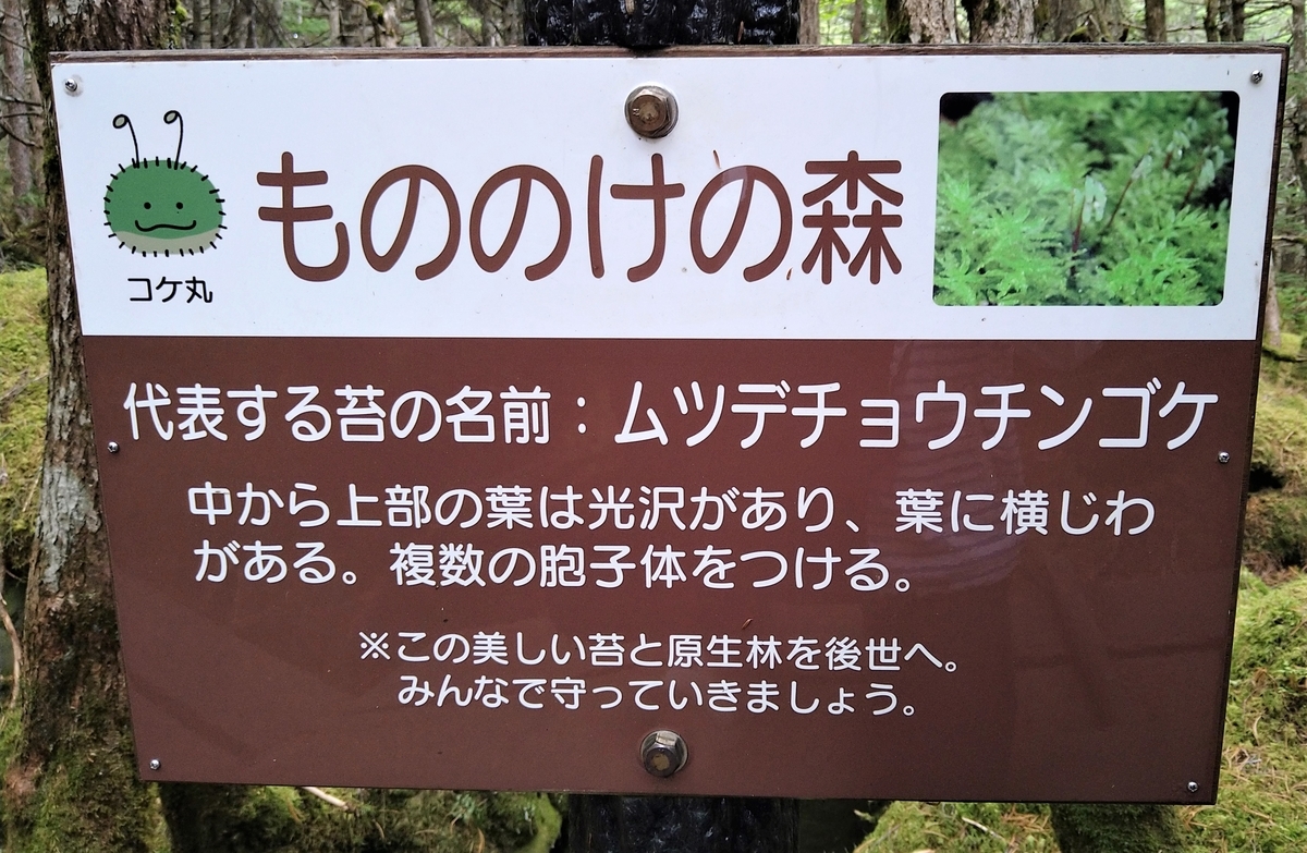 f:id:sugarless_ice:20211020104721j:plain