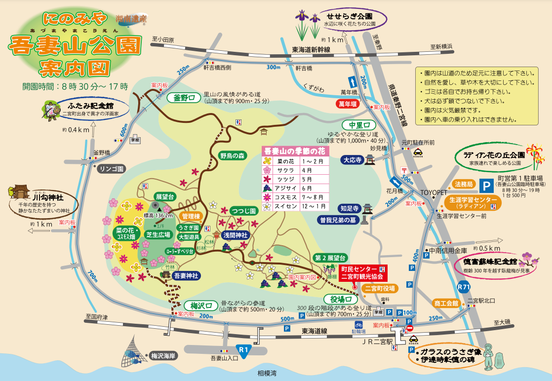 二宮町の吾妻山公園で早春を味わう sugarless time 二宮町の吾妻山公園で早春を味わう sugarless time
