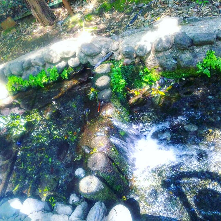 f:id:sugaryo1224:20180520185848j:plain f:id:sugaryo1224:20180520185848j:plain
