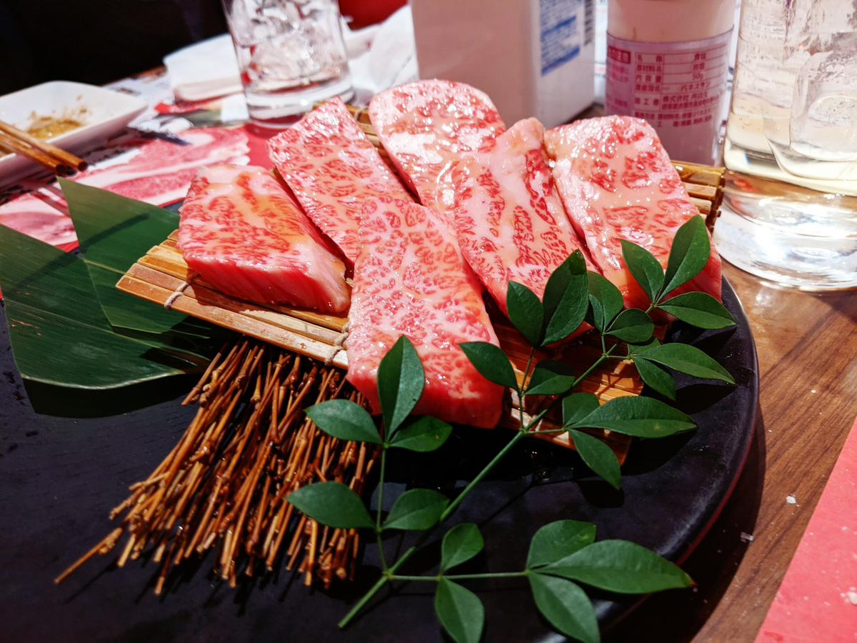 f:id:sugaryo1224:20200207020837j:plain