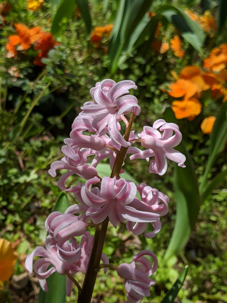 f:id:sugaryo1224:20201120202046p:plain