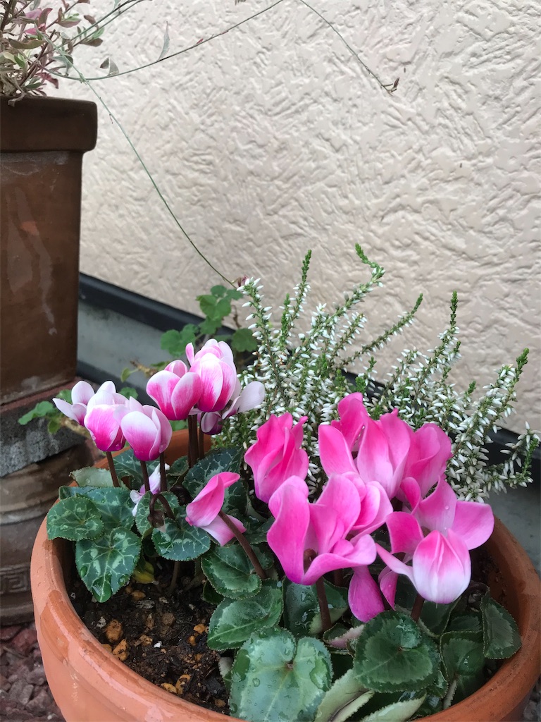 f:id:sugatabi:20191021192345j:image