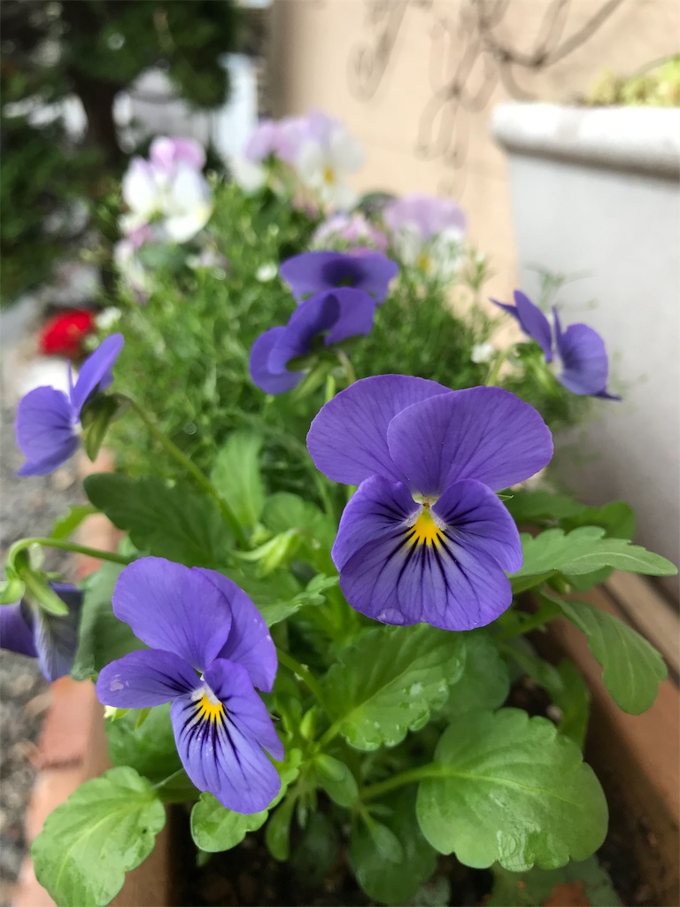 f:id:sugatabi:20191021193050j:image