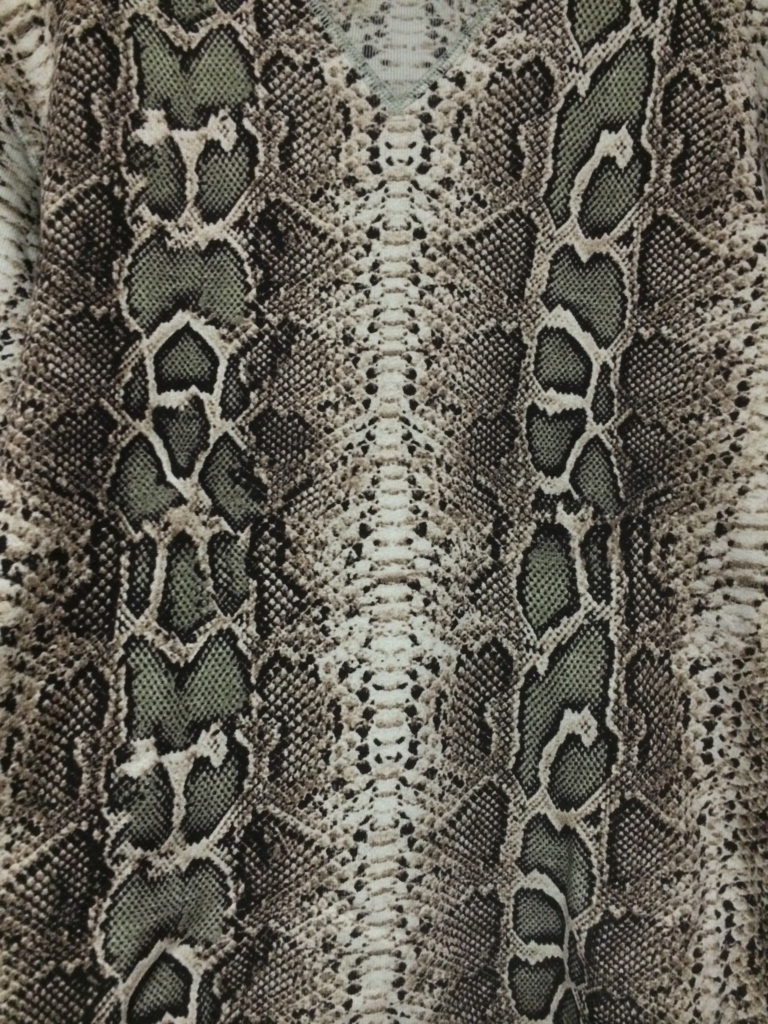 f:id:sugatareiji:20150714142341j:plain