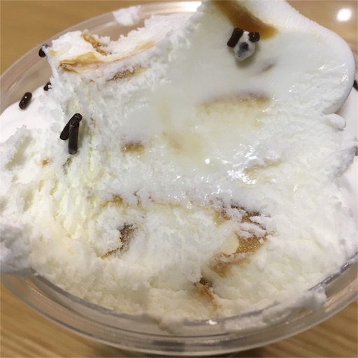 f:id:sugatareiji:20161005155229j:image