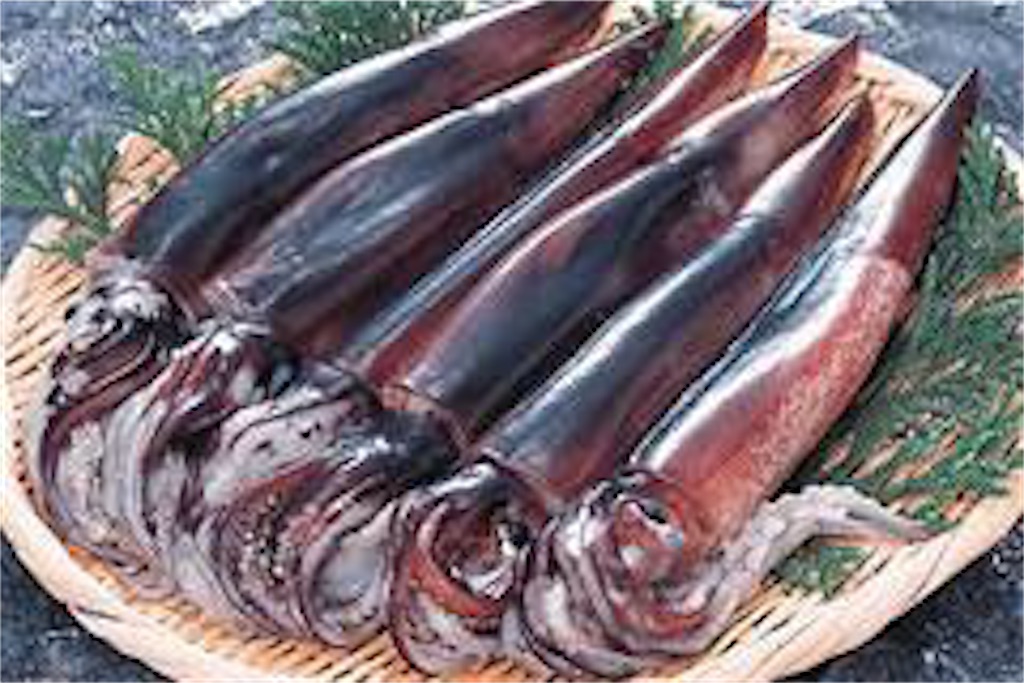 f:id:sugatomo1123:20200510192927j:image f:id:sugatomo1123:20200510192927j:image
