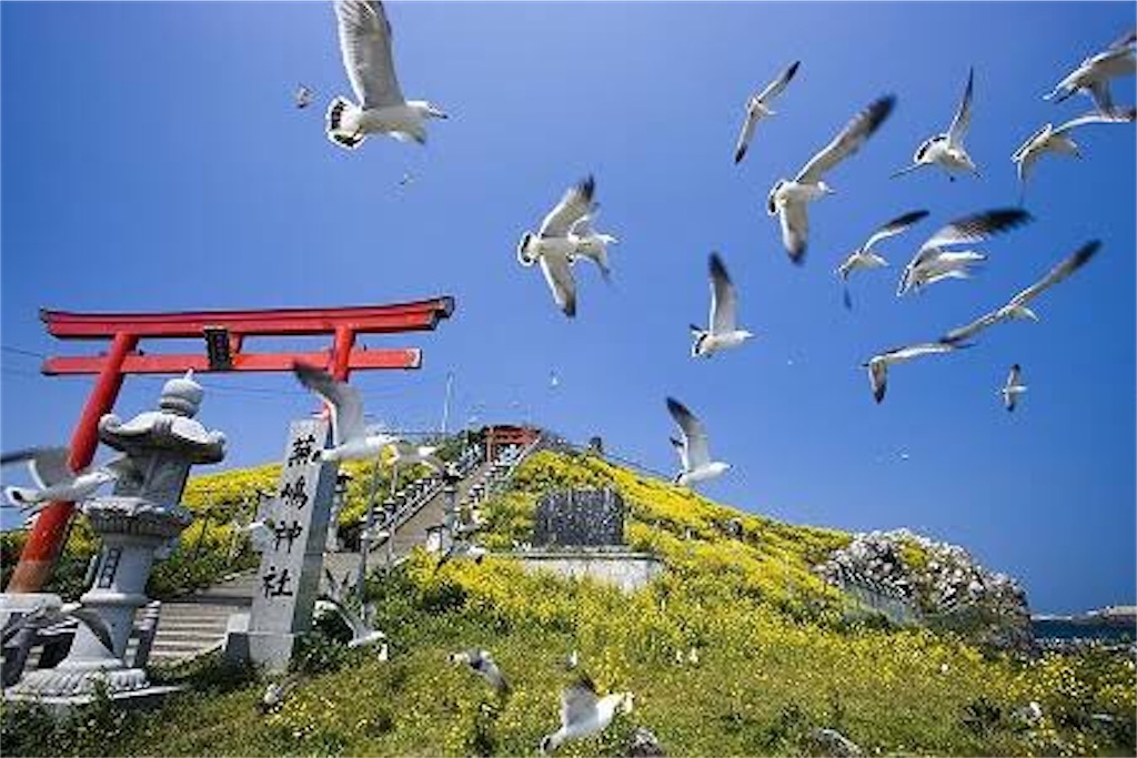 f:id:sugatomo1123:20200510200312j:image f:id:sugatomo1123:20200510200312j:image