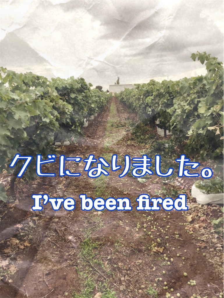 f:id:sugayan:20200415151947j:image